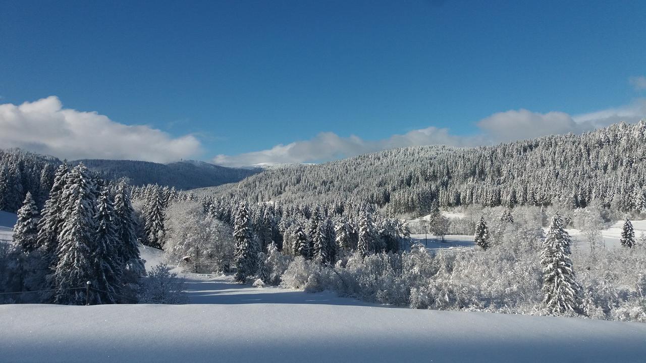 Gaestehaus Behabuehl Feldberg  Extérieur photo