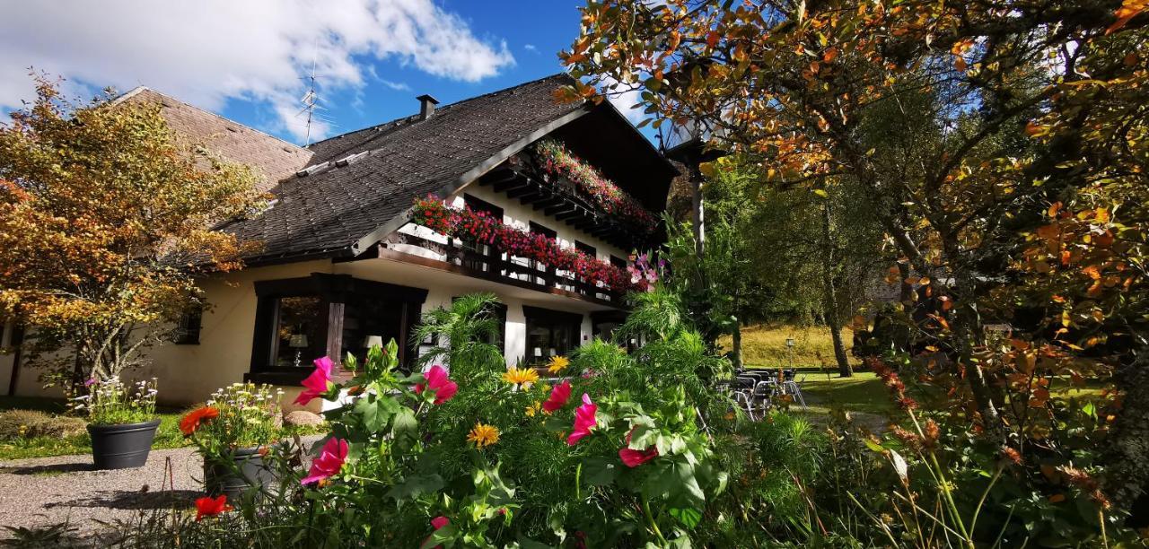 Gaestehaus Behabuehl Feldberg  Extérieur photo