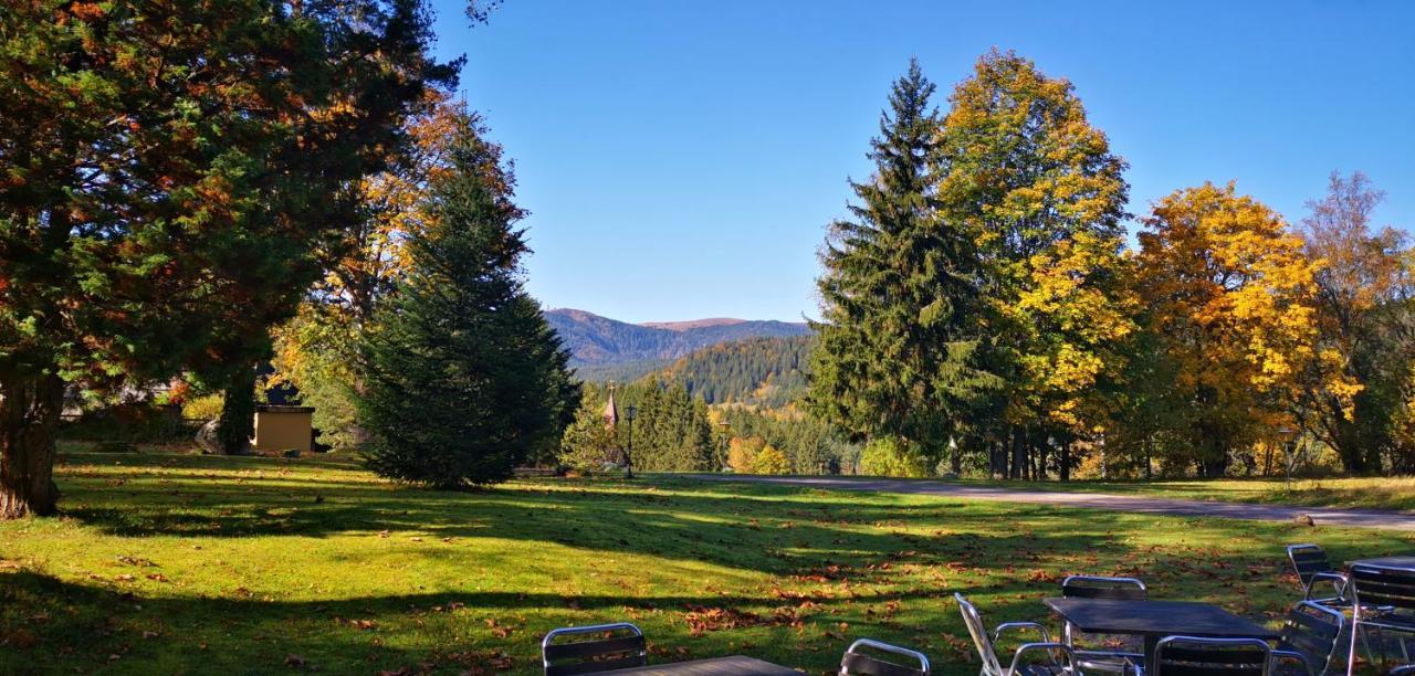Gaestehaus Behabuehl Feldberg  Extérieur photo